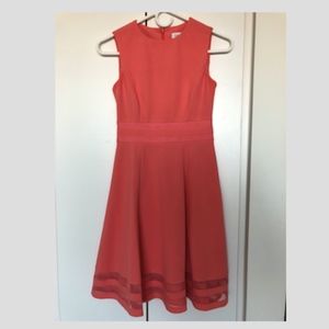 Calvin Klein Petite Illusion-Trim Dress